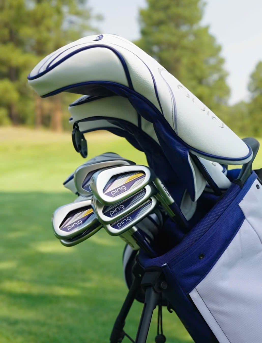 Fullset Ping Gle4 Ladies 2026